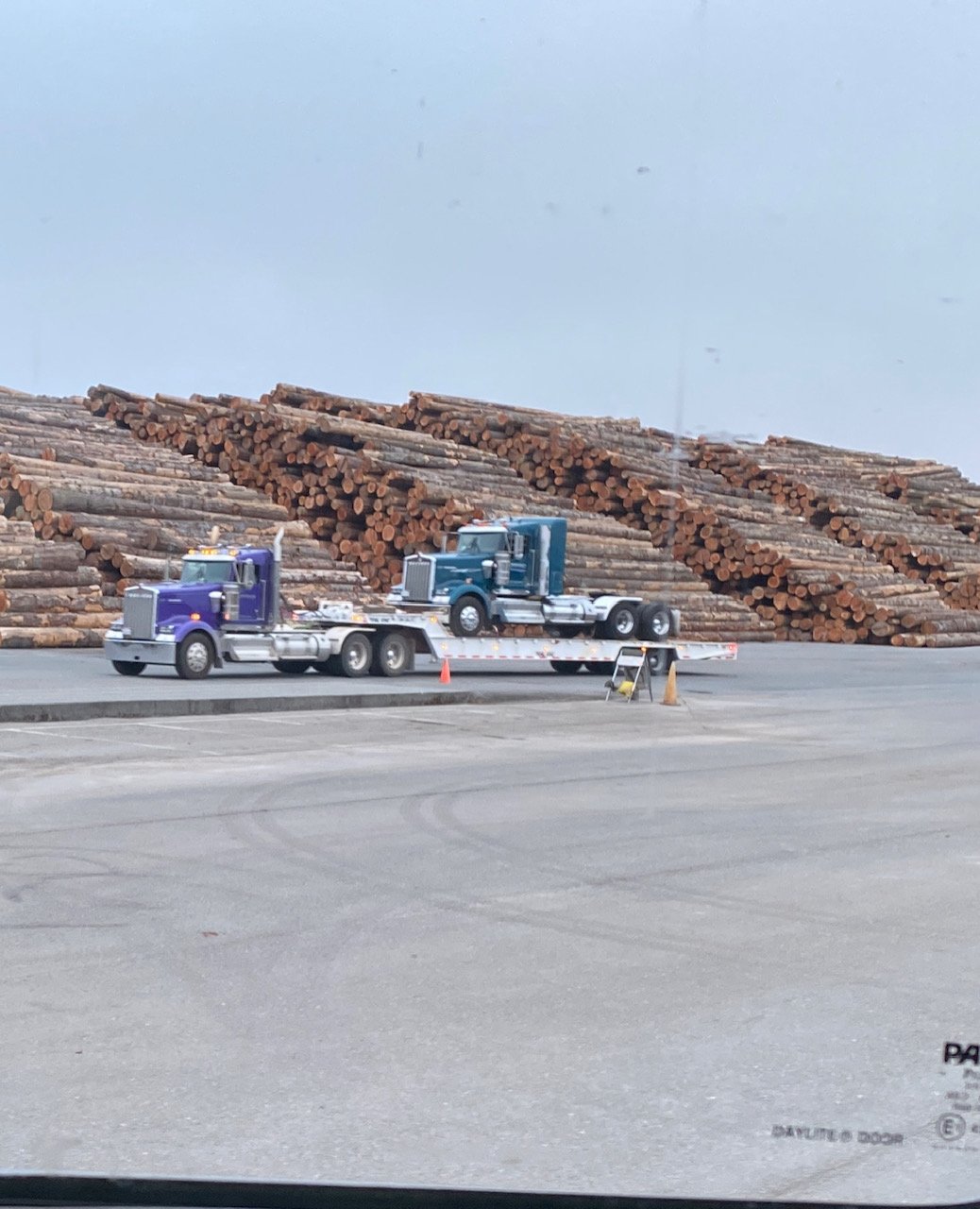 Two trucks parked at a log yard